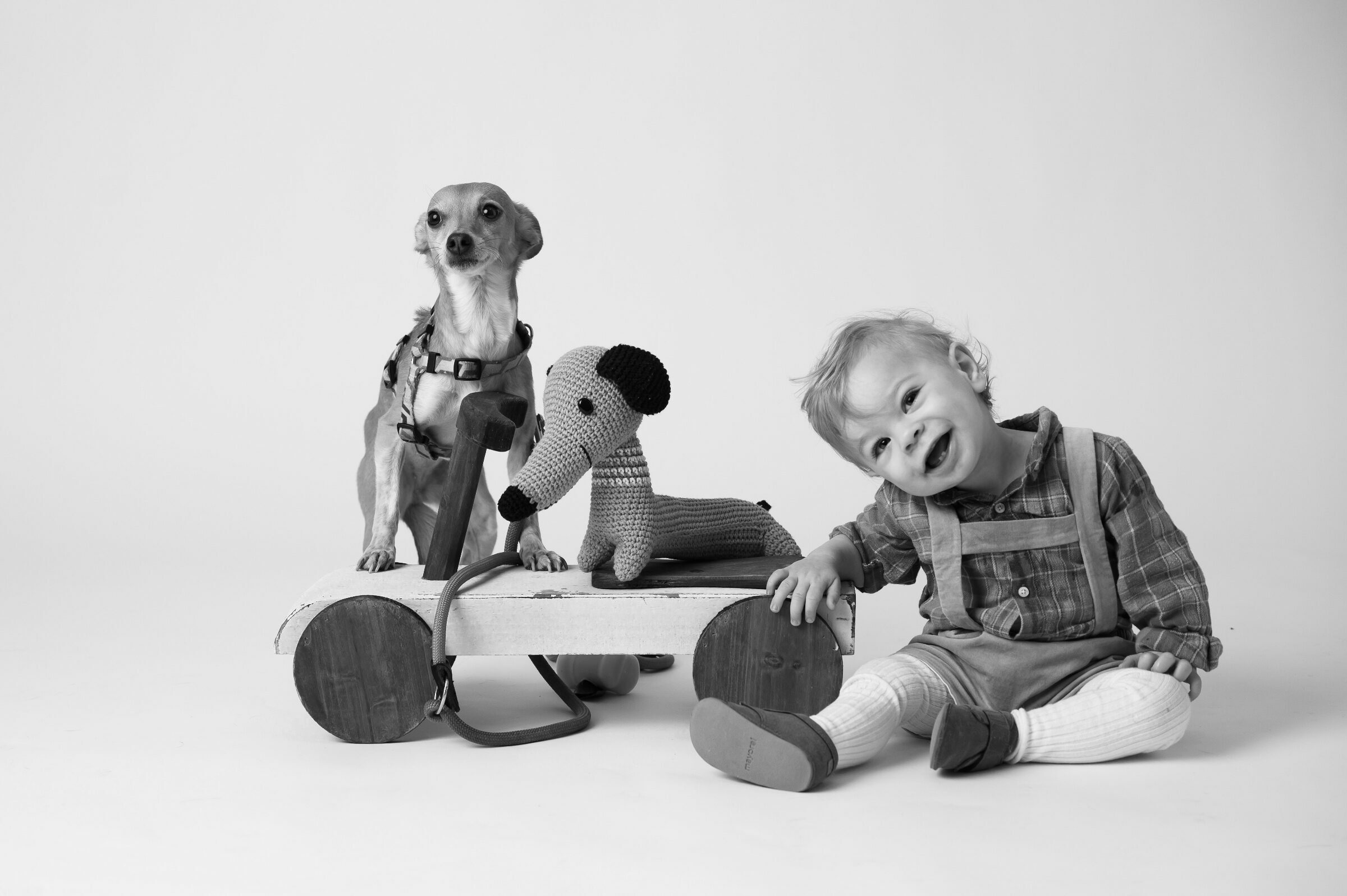 Foto de Atelier 19 Fotografia 12 Foto de Atelier 19 Fotografia 12