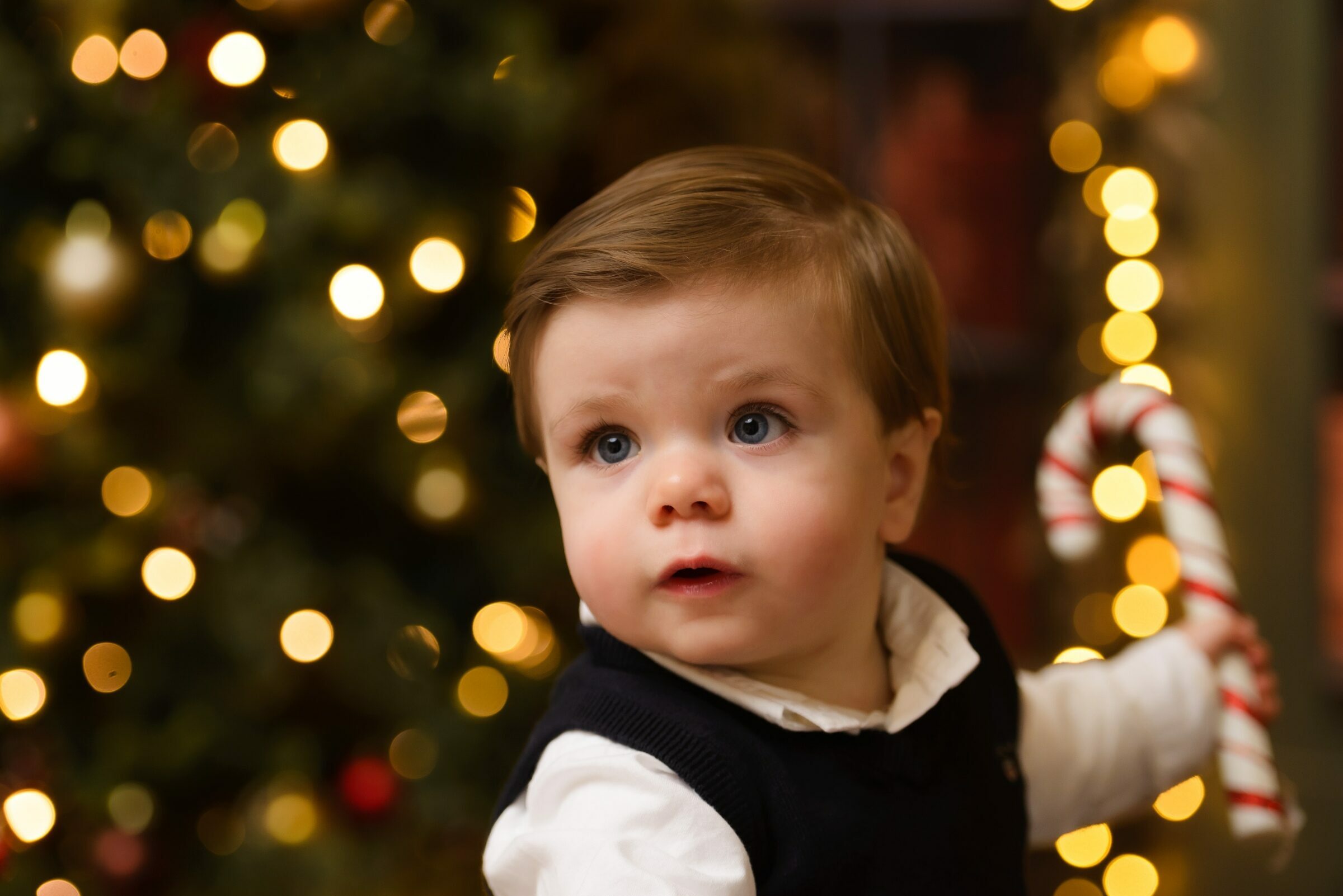 Foto de Atelier 19 Fotografia 0 Foto de Atelier 19 Fotografia 0